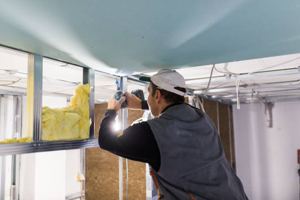 Best Spray Foam Insulation in , MN