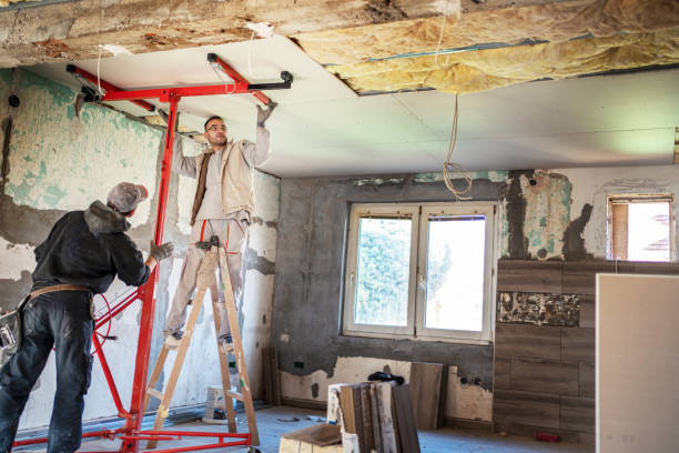 Best Insulation Maintenance and Repair in , MN
