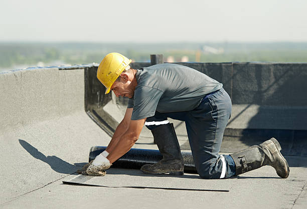 Best Geographic-Specific Insulation Services in , MN